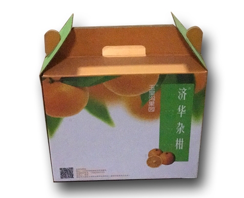自扣式水果包装盒